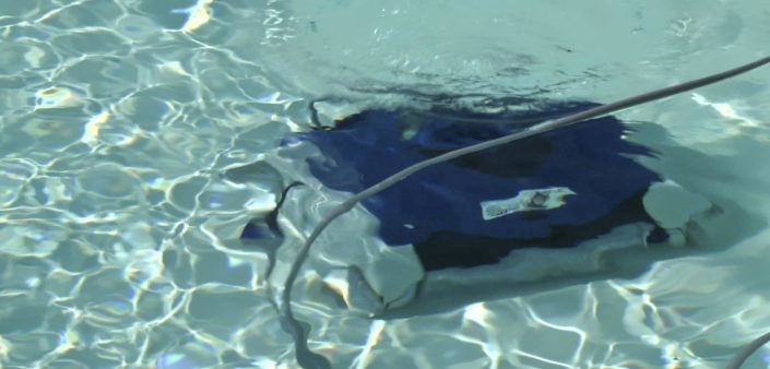 pulizia-piscina-pulitore-automatico-robot-1